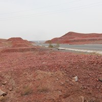 Портфолио narzisjo